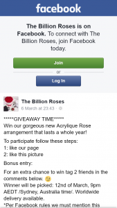 The Billion Roses – Win Our Gorgeous New Acrylique Rose Arrangement That Lasts a Whole Year