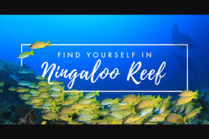 Hunter and Bligh – Win Our Ningaloo Reef Escape (prize valued at $5,000)