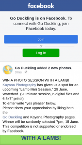 Go Duckling – Win a Photo Session With a Lamb