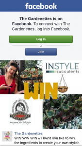 The Gardenettes – Win // How’d You Like to Win The Ingredients to Create Your Own Stylish Succulent Ball