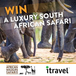 African Wildlife Safaris – Win a 12-day adventure for 2 exploring the diversity of South Africa valued at up to $29,999