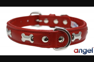 Angel Pet Supplies – Win an Angel Pet Classic Rotterdam Bones Red Dog Collar