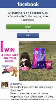 Dr Katrina – Win a Puppy Prize Pack Consisting of 1 X 15kg Bag of Eukanuba™ Puppy Food