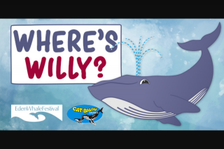 Powerfm Bega Bay – Win a Spot on The Cat Balou – for The Eden Whale Fest/find Willy on 981powerfm Site and Enter