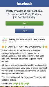 Pretty Prickles – Win this Box Full of Different Succulent Cuttings