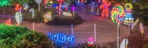 Hunter Valley Gardens – Win 1 of 50 Day/Night Family passes to Hunter Valley Gardens and the Christmas Lights Spectacular valued at $149.png