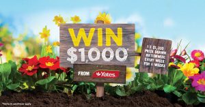 Yates – Win a $1,000 to spend in store
