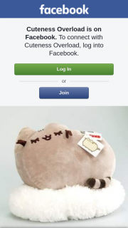 Cuteness Overload – Win this Large Pusheen Plushie From Pusheen Experts Cuteness Overload & Newsxpress