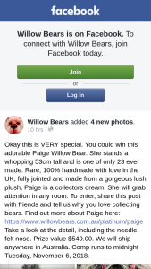 Willow Bears – Win this Adorable Paige Willow Bear (prize valued at $549)