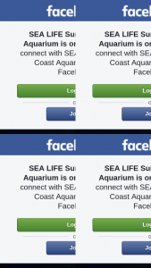Sealife Sunshine Coast Aquarium – Win an Annual Family Pass