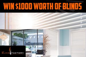 2GB – Win $1,000 worth of The Blind Factory