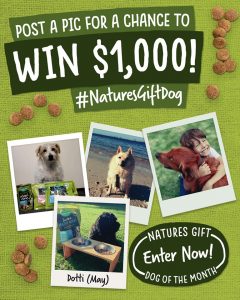 Nature’s Gift – Dog of the Month – Win $1,000 and a gift hamper