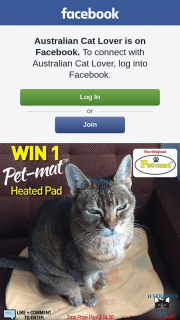 Australian Cat Lover – Win 1 Heated Animal Pad ($94.50).