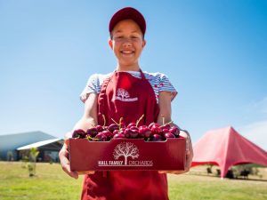 Hall Family Orchards – Win $100 worth of premium cherries