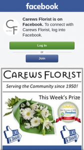 Carews Florist – These Beautiful Flowers