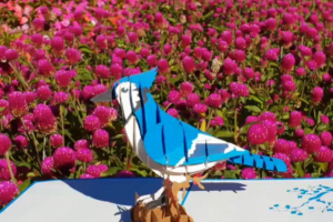 Loved up Cards – Win an Amazing 3d Blue Jay Bird Pop-Up Card to Show Your Love to this Month’s Birthday Birds