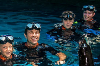 Merlin Annual Pass Australia & NZ – Win a Seal Swim at Sea Life Sunshine Coast for Two People