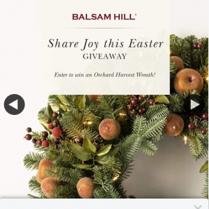 Balsam Hill Australia · – Win 1/2 Orchard Harvest Wreaths