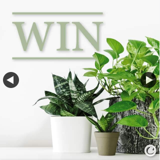 Caroma – Win a 6 Month Plant Delivery Subscription From Botantic Box