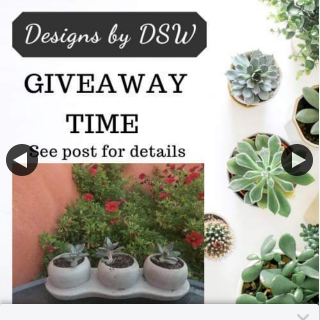Designs by DSW – Win Planter