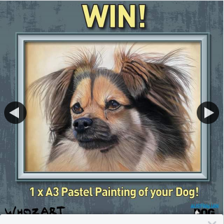 Australian Dog Lover – Win a Whozart Pastel Painting of Your Dog (prize valued at $350)