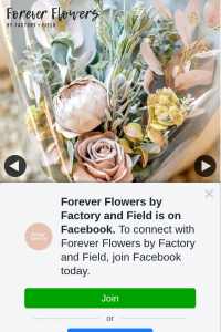 Forever Flowers – Win a Bunch of Flowers Like & Share