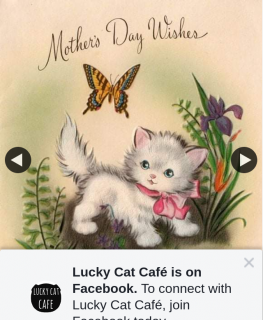 Lucky Cat Cafe – Win Mother’s Day Giveaway
