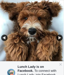 Lunch Landy – Win X2 Two Months Supply of Frontier Pets Dog Food (prize valued at $500)