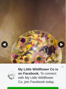 My Little Wildflower Co – Win Yourself a Beautiful Light