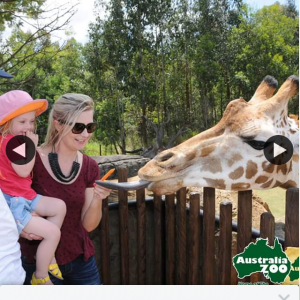 Oaks Hotels – Win a Family Pass to Australia Zoo