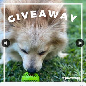 Paw Wags – Win $100 Coles Voucher