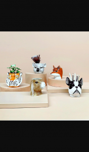 The Block Shop – Win 1/2 Ceramic Head Bundle Packs Valued at $99 (prize valued at $99)