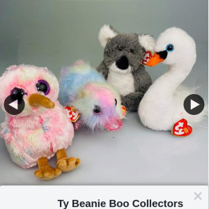Ty beanie boo collectors – Win a Kiwi Koala Platypus & Swan