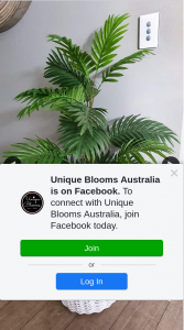 Unique Blooms Australia – Win 4ft Areca Palm Tree