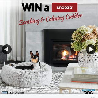 Australian Dog Lover – Win a Snooza Soothing & Calming Cuddler for Winter