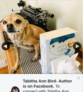 Tabitha Ann Bird – Win Today I’m Giving Away a Signed Copy of a Lifetime of Impossible Days