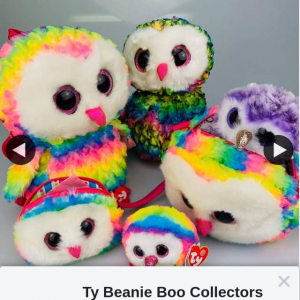 Ty beanie boo beanie collectors – Win #competition #owls #iso #covid19 #staysafe #homeschool #beanieboos #tylove