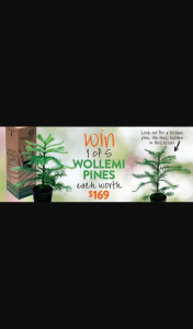 Gardening Australia – Win a Wollemi Pine (prize valued at $169)