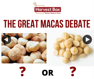 Harvest Box – Win a Bulk Pantry Pack of These Deliciously Creamy Gems of Nature