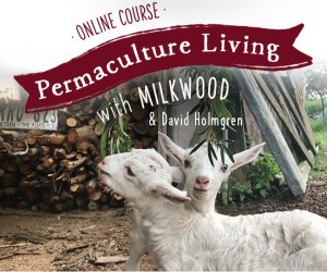 Organic Gardener – Win a 12-week online Permaculture Living course (3 places to be won)