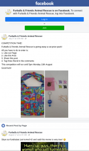 Furballs & Friends Animal Rescue – Win a Cute Cat Prize Pack (prize valued at $60)
