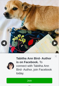 Tabitha Ann Bird Author – Win this Week You Have The Chance to Win this Great Book By Meredith Appleyard
