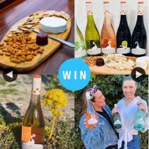 Adelady – Win a Tasting for Two at Geoff Merrill Wines (prize valued at $290)