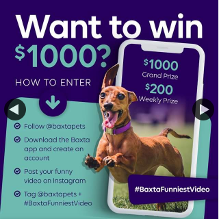 Baxta – Win $1000 Funniest Video of Your Pet