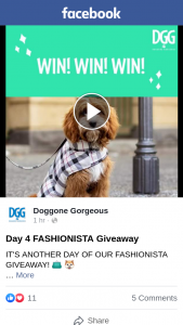 Doggone Gorgeous – Win a Dgg Fashionista Pack Including
