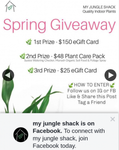 My Jungle Shack – Win 1st Prize $150 Egift Card 2nd Plant Care Pack 3rd $25 Egift Card (prize valued at $223)