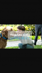 What’s on 4 Kids – Win 1 of 5 Think Like a Dog DVD’s