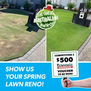Lawn Solutions Australia – Win a $500 Bunnings voucher PLUS Lawn Solutions prize pack