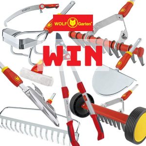 Lawn Solutions Australia – Win a WOLF-Garten Garden Tool prize pack valued at $1,000
