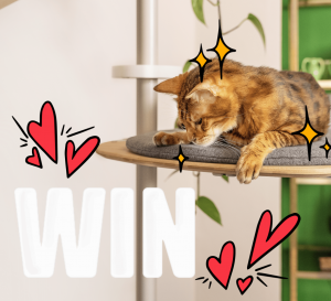 Omlet – Win a Freestyle cat tree setup valued at $1,000